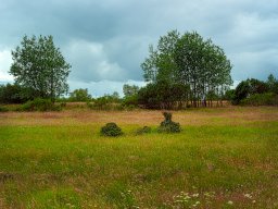 IMGP6200-1_Borris Soenderland